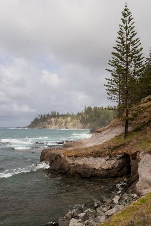 Rocky Coastline Norfolk Island 
